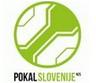 Cúp Quốc Gia Slovenia 2023-2024