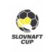 Cúp Quốc Gia Slovakia 2023-2024